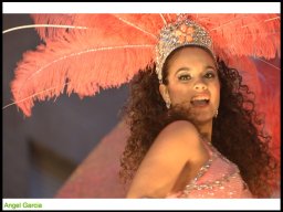 Carnaval de Mula 2014